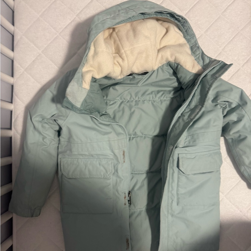 The North Face Hooded Parka in Sage - Picture 8 of 10